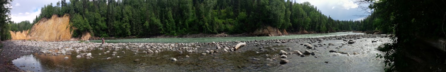 Skeena River panorame